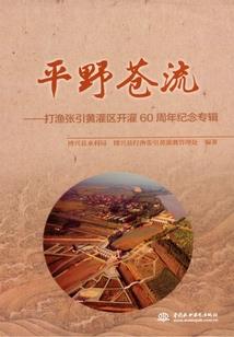 惑起江城