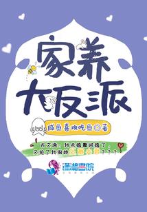 钢森奇侠传