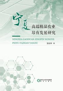 智慧王冠