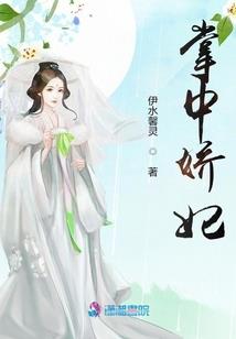 对不起，我只是个NPC长篇
