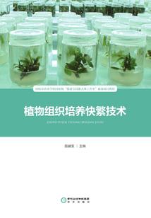 萌学园之情侣之爱