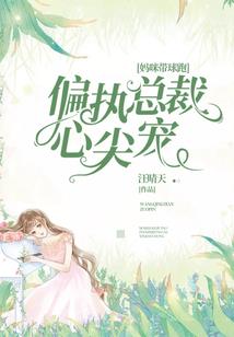 魔法世界里的修仙机器