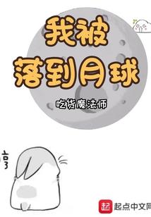 守魂士之四元士之战