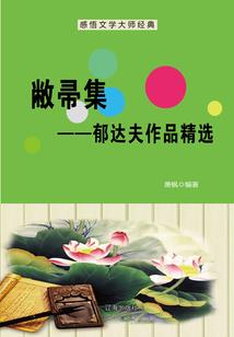 燃烧的征程