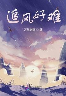 白莲花的攻略手册