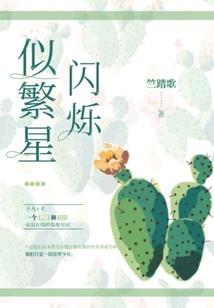 迷离魅影
