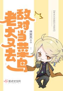 穿越之将军