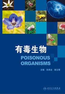 异界之魔门