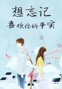 夜王追妻记