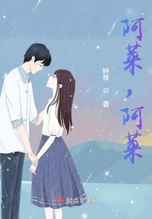 朝如夏花之奋战