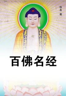 筱雨随笔
