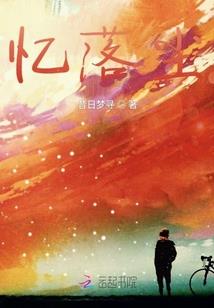 寻找王子系统