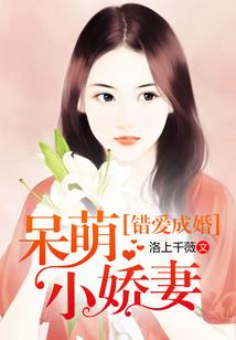 琳琅仙箓