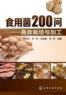最美的幸运是遇见你
