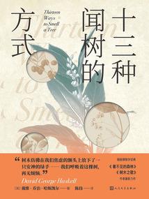 征服者之绝地反击