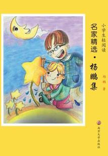 村中灵启陆