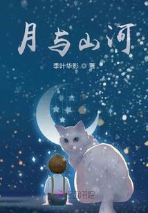 飞羽abj