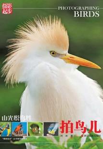 《魂归极乐》