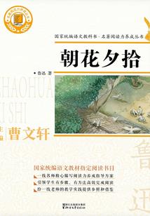 爱上十九楼女孩