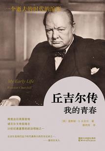 重生黑化总裁的神秘娇妻