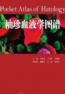 七圣录