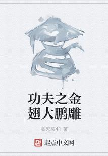 海兰明珠传