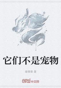 华夏有龙