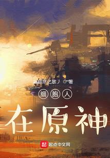 首席大人请看招