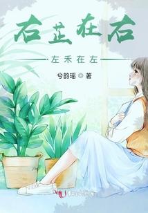 梵星传