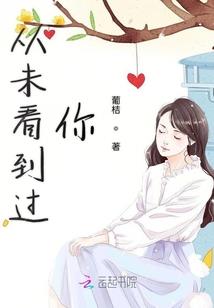 紫梦华录