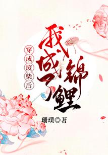 星兮缘