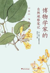 神照无相经