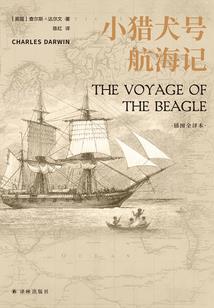乱山铅华