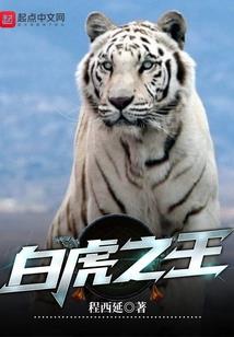 江湖之老三转