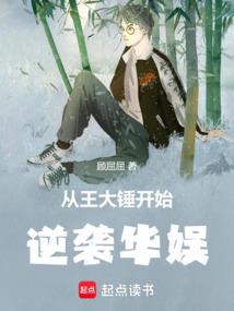 凤凰之眼