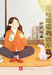 天书传奇录