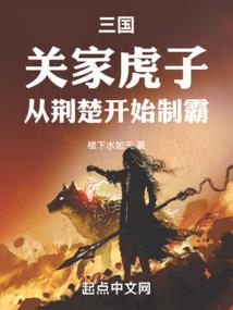 天谴圣王