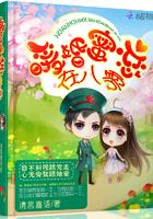 有情剑客林南传