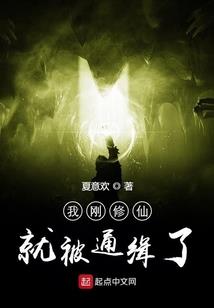 穿越之绝色小狂妃