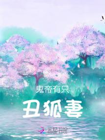 炮灰修真手札