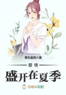 波动风暴