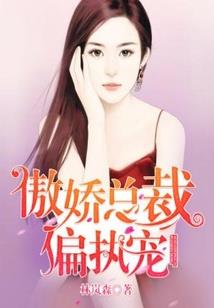 局中藏局
