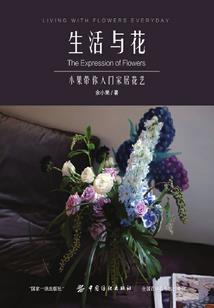 梦想专家