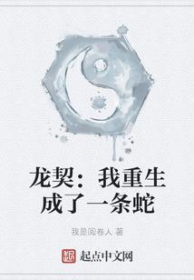 关于我成为猎人后的传说