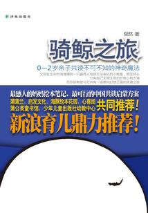 口袋妖怪之收服你的童年