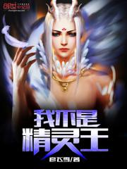妖乱风华：王妃是个谜