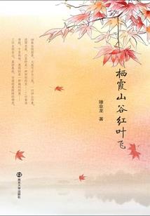 阴阳神探系统
