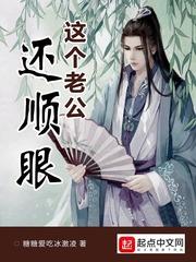 《韩娱之最高偶像》