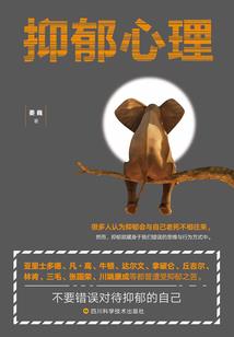 粉窗冰簪