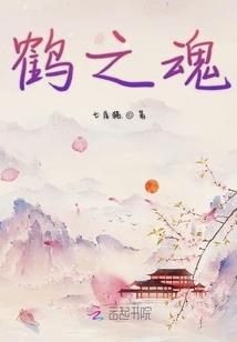 这绝对不是一本综漫小说